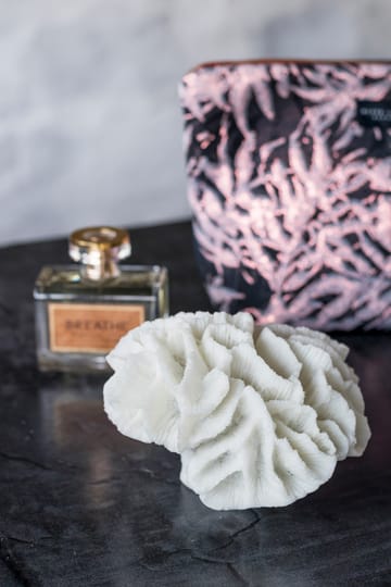 Coral gills - White - Mette Ditmer | メッテ ディトマー