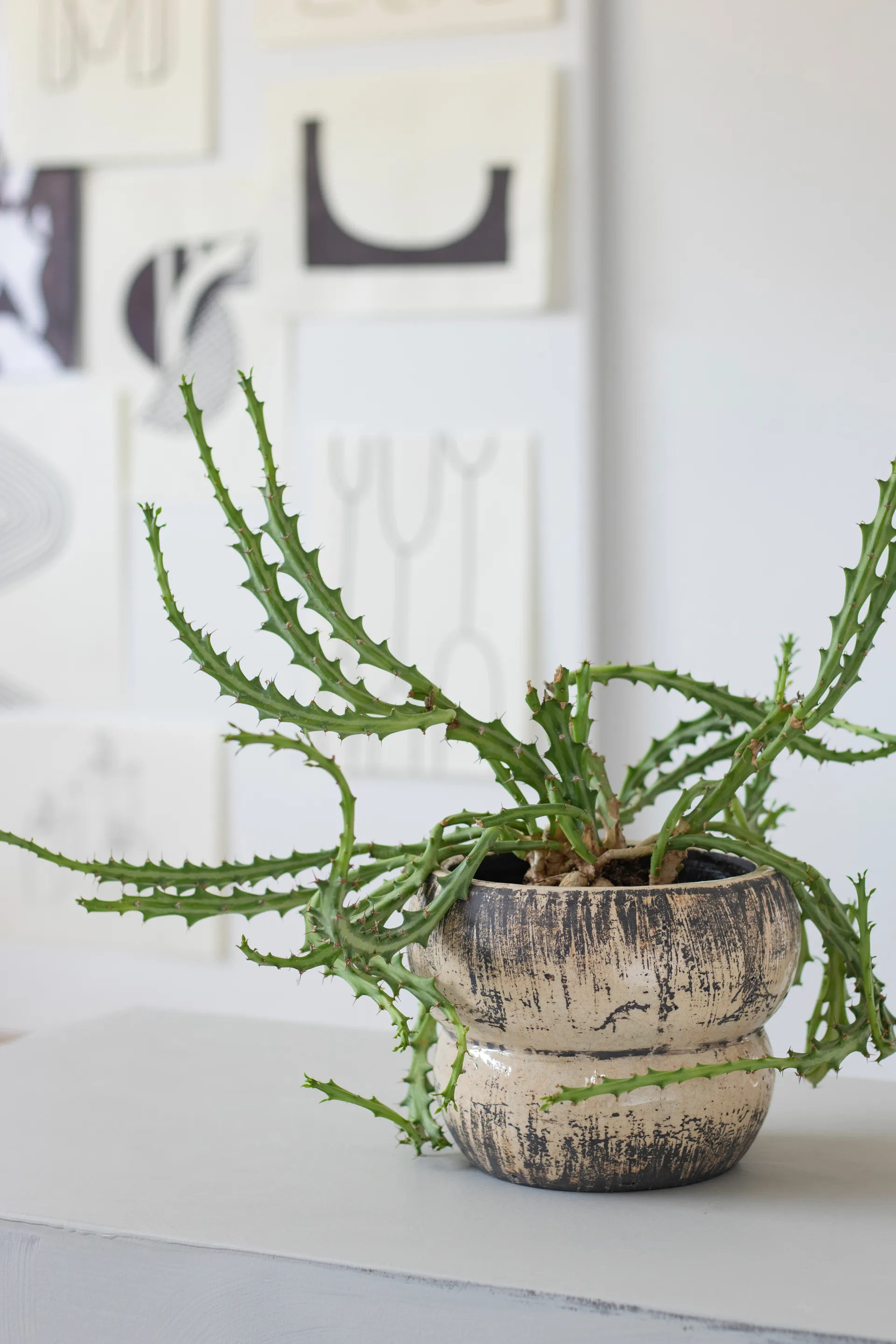 Raw 植木鉢 Ø17 cm, Off-white Mette Ditmer | メッテ ディトマー