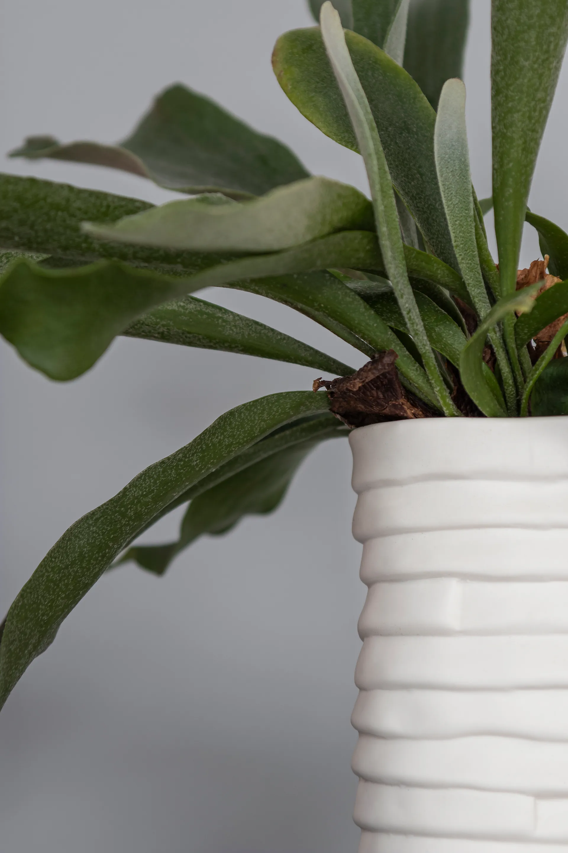 Ribbon 花瓶 large 20 cm, Off-white Mette Ditmer | メッテ ディトマー