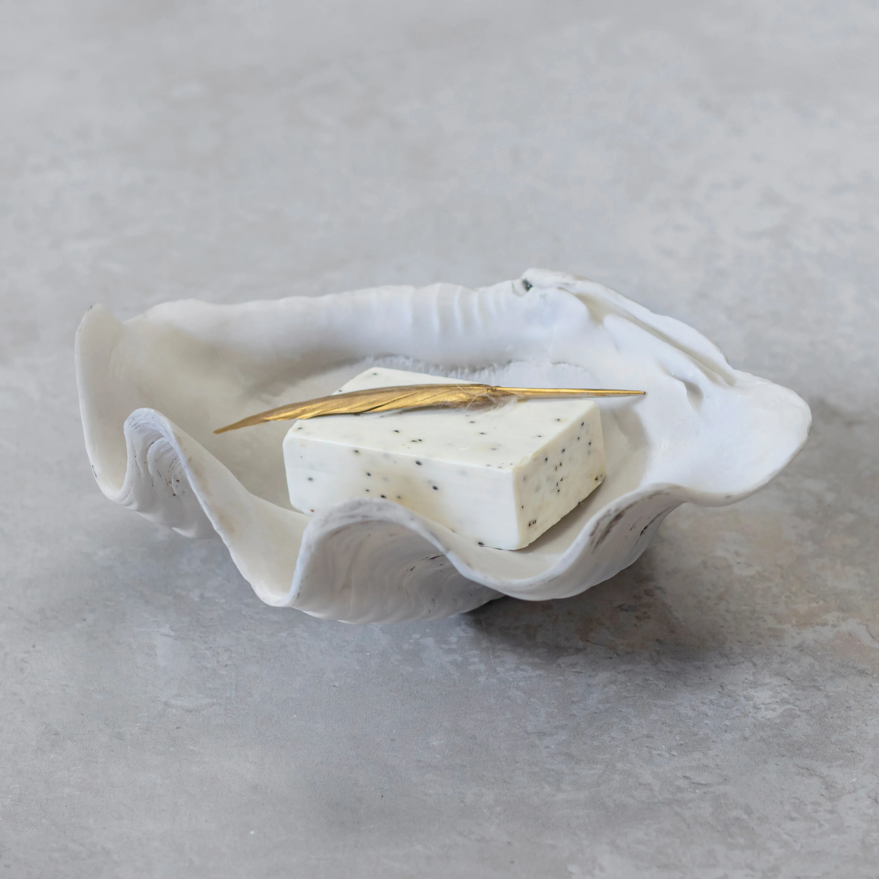 Mette Ditmer | メッテ ディトマー からのShell デコレーション