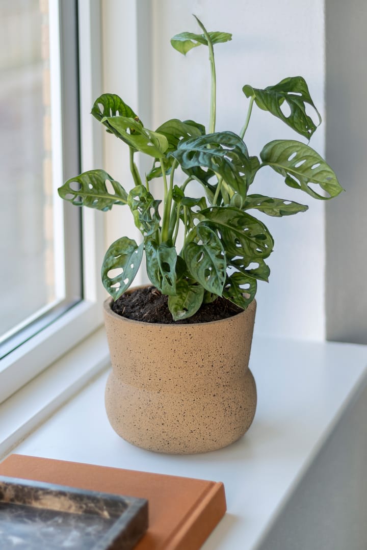 Stone 植木鉢 Ø17 cm, Ochre Mette Ditmer | メッテ ディトマー