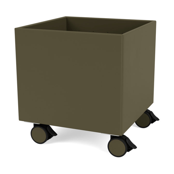 ��カラーボックス I – S6161 - Oregano - Montana