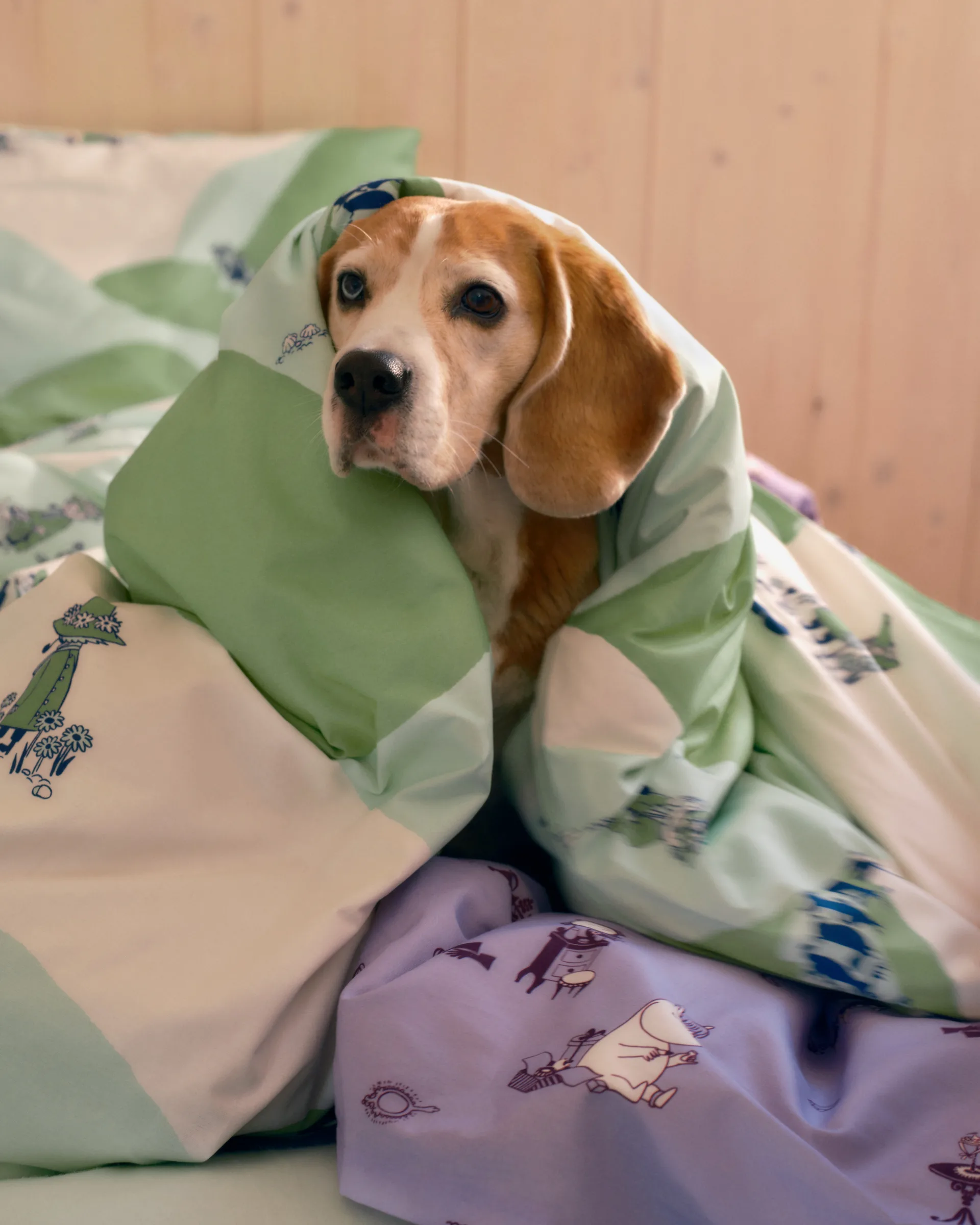 ムーミン 寝具セット 150x210 cm, Snufkin Moomin Arabia