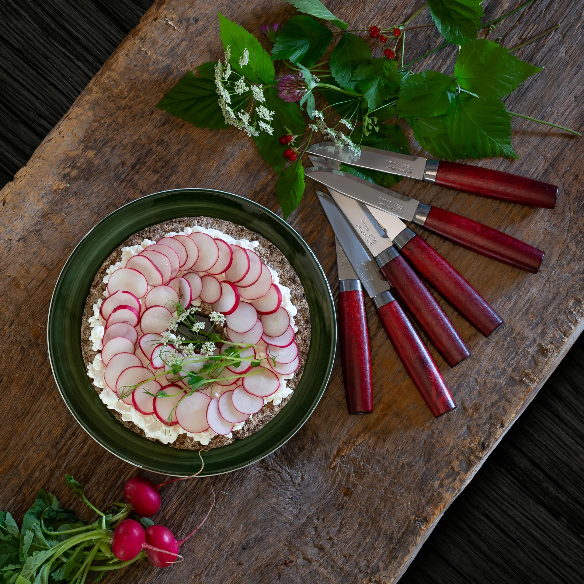 Morakniv Classic ステーキ ナイフ 6パック, red Morakniv | モラナイフ