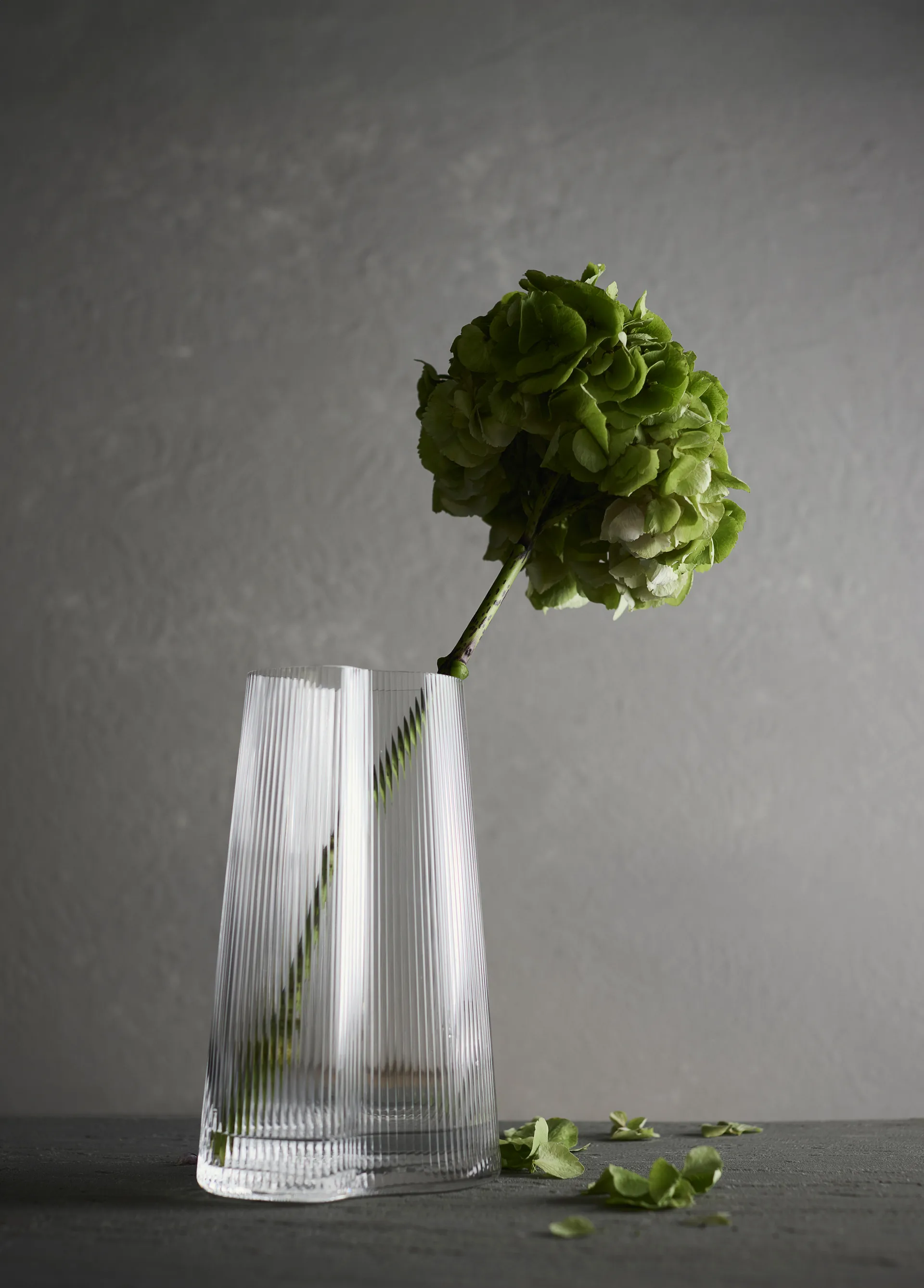 Ripe ベース, Clear, 26 cm MUUBS | ムーブス