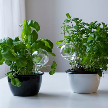 Muurla 自動水やり器 2個セット - 15 cm - Muurla | ムールラ