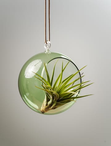 Muurla decorative hanging ball Ø12 cm - Green - Muurla | ムールラ