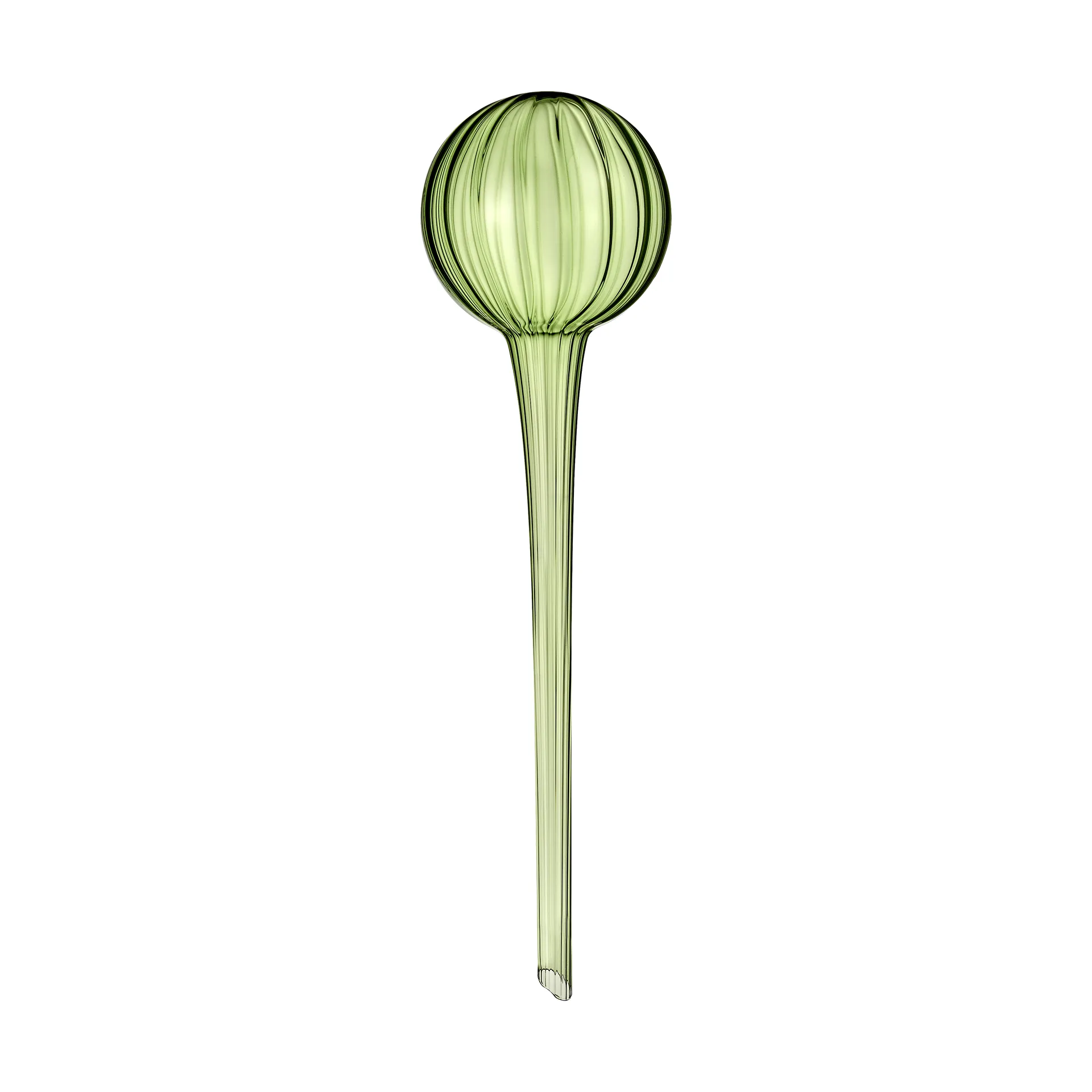 Muurla ウォーターディスペンサー pot 28 cm, Green Muurla | ムールラ