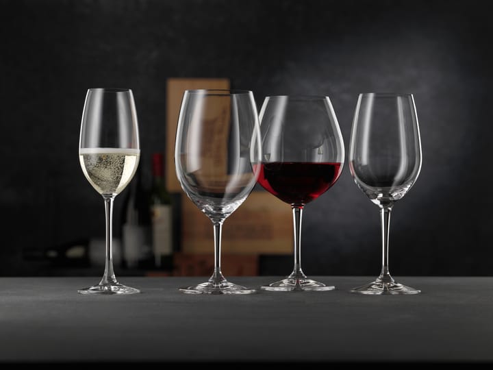 Vivino シャンパングラス 26 cl 4パック, Clear Nachtmann | ナハトマン