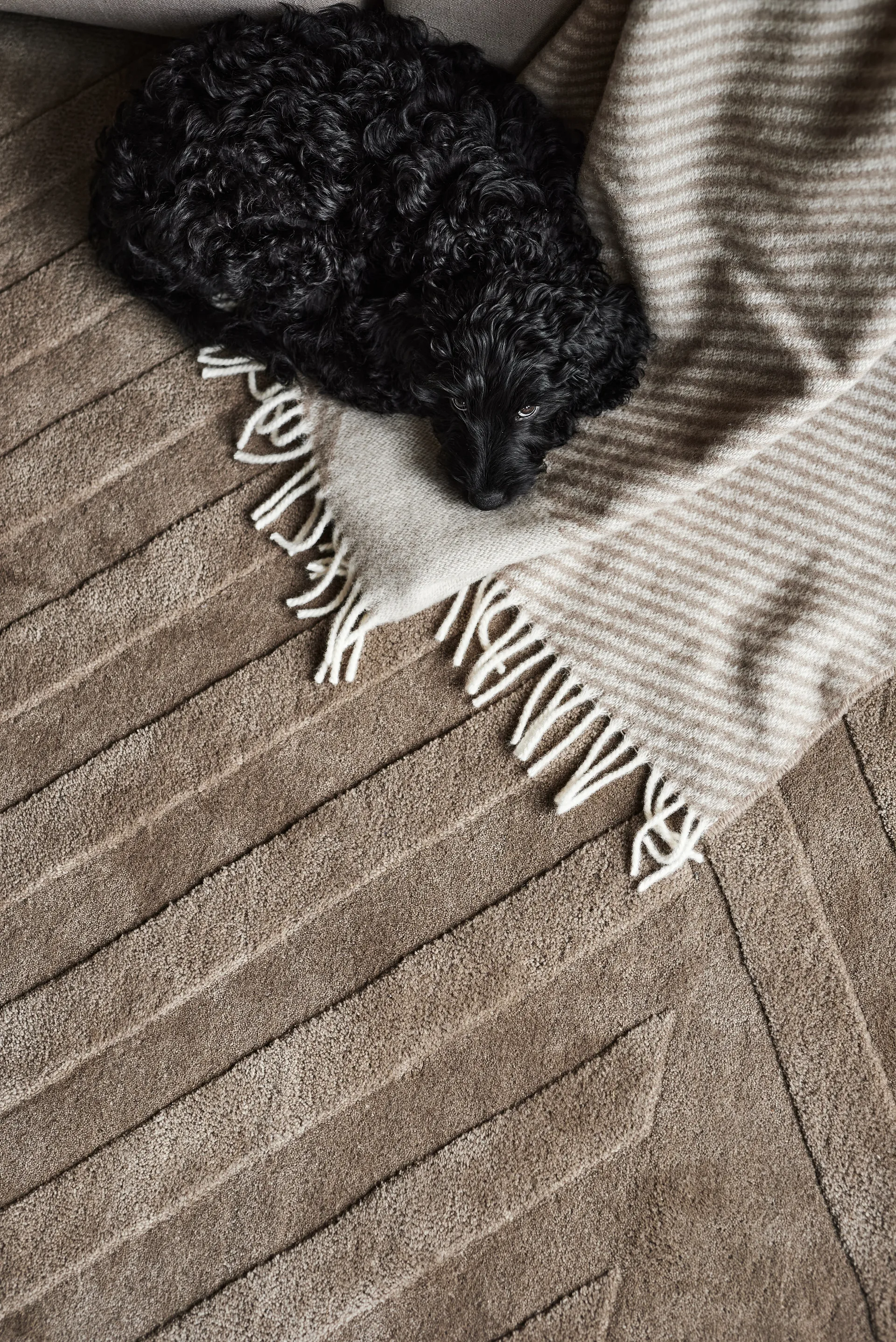 Levels Stripes ウールラグ, Taupe, 170x240 cm NJRD | 二オール