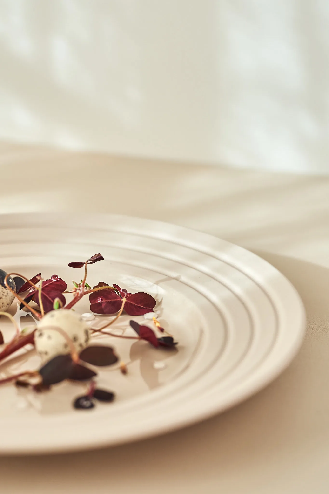 Lines プレート Ø27 cm 6パック, beige NJRD | 二オール