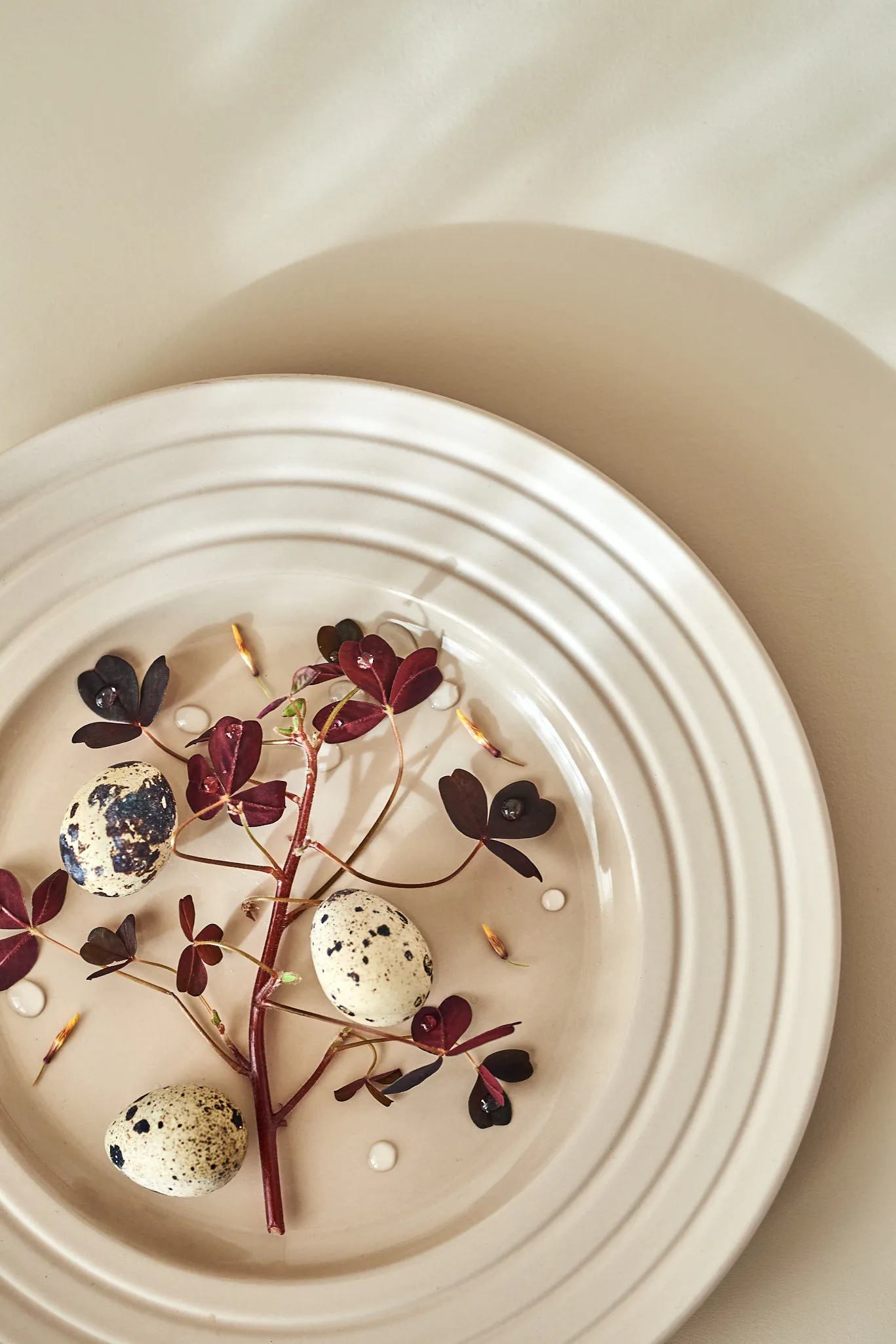 Lines プレート Ø27 cm 6パック, beige NJRD | 二オール