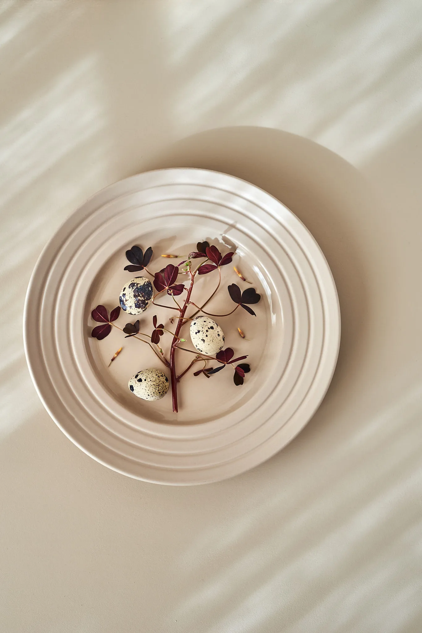 Lines プレート Ø27 cm 6パック, beige NJRD | 二オール