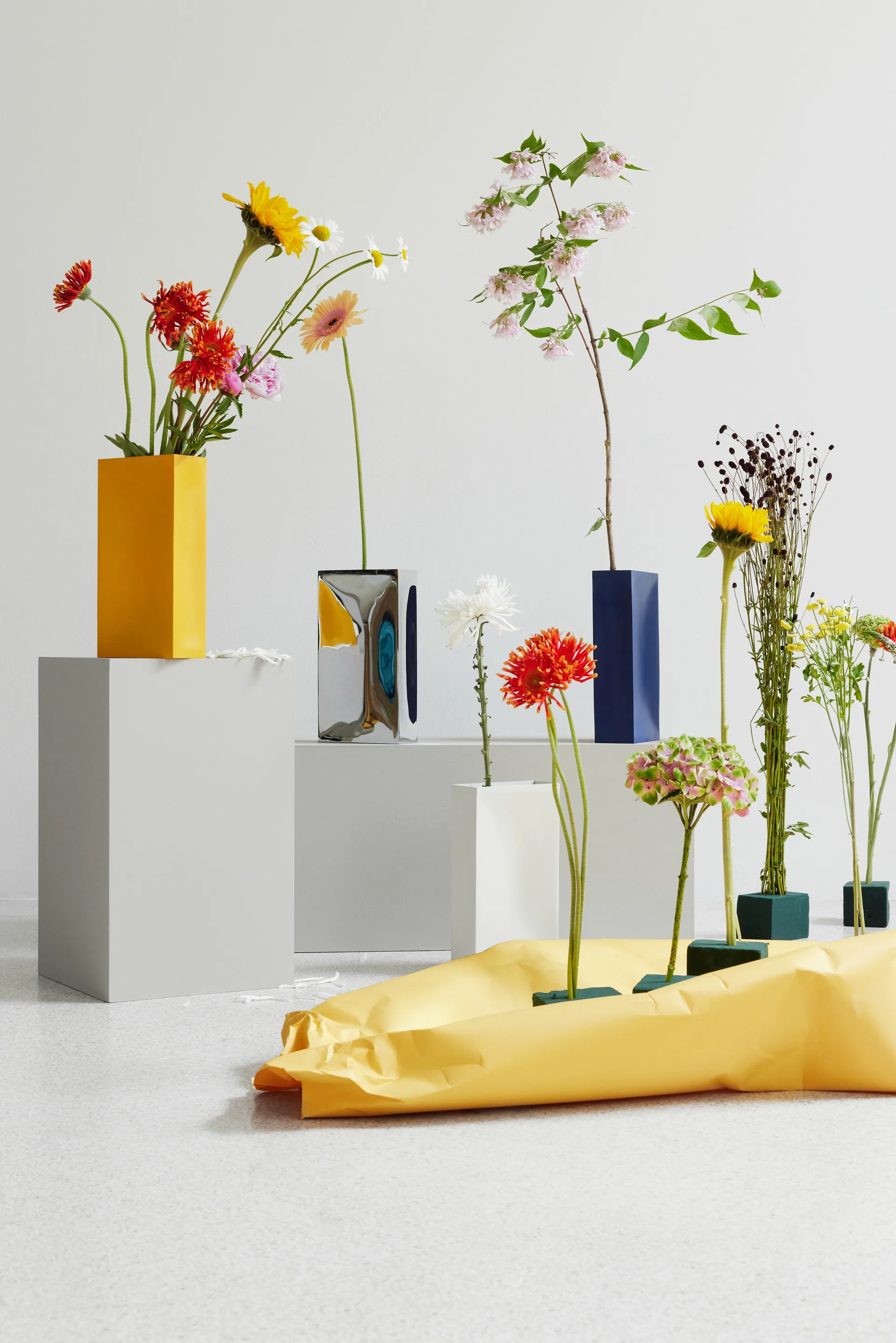 Into 花瓶, Yellow Northern | ノーザン