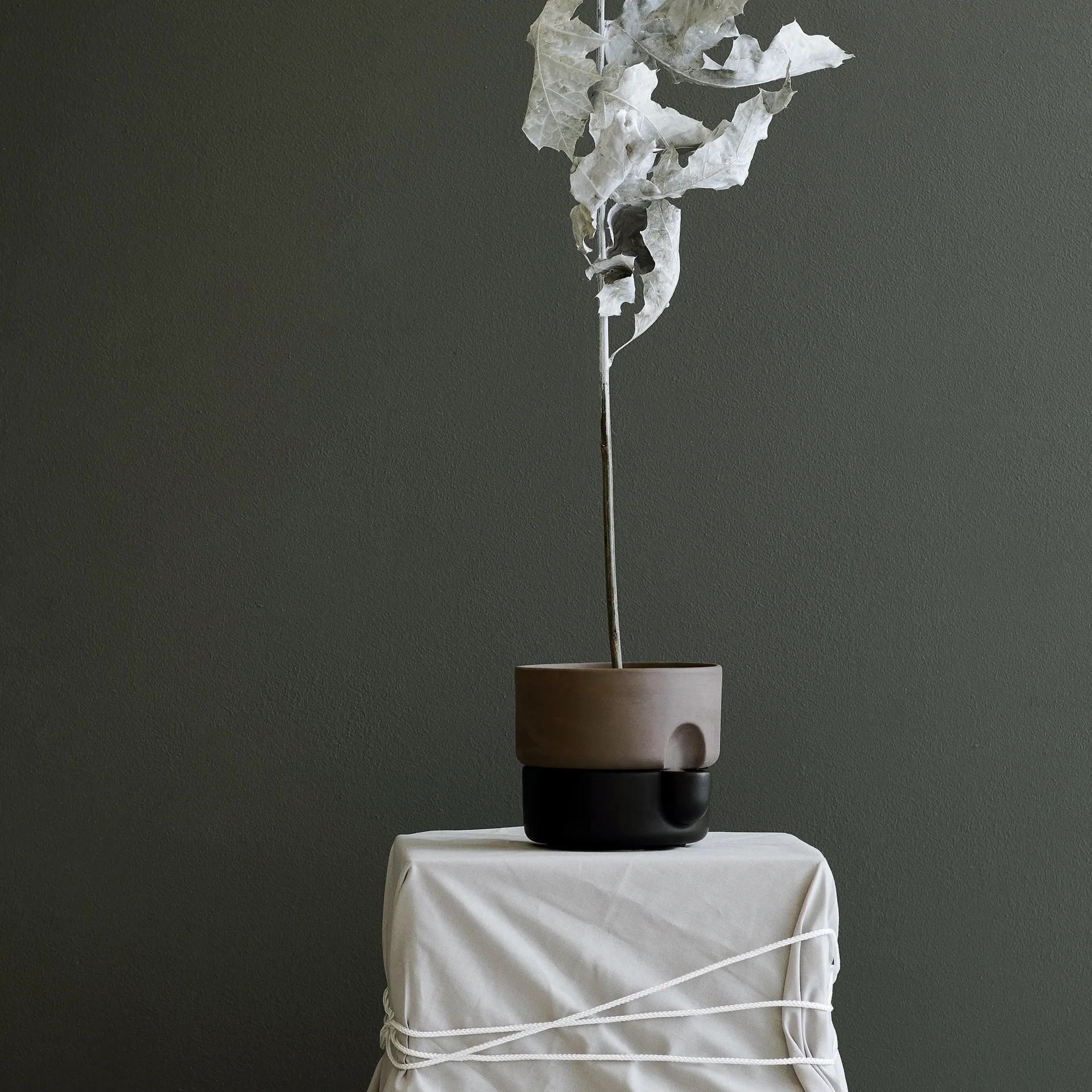 Oasis self-watering 植木鉢 スモール, Black Northern | ノーザン