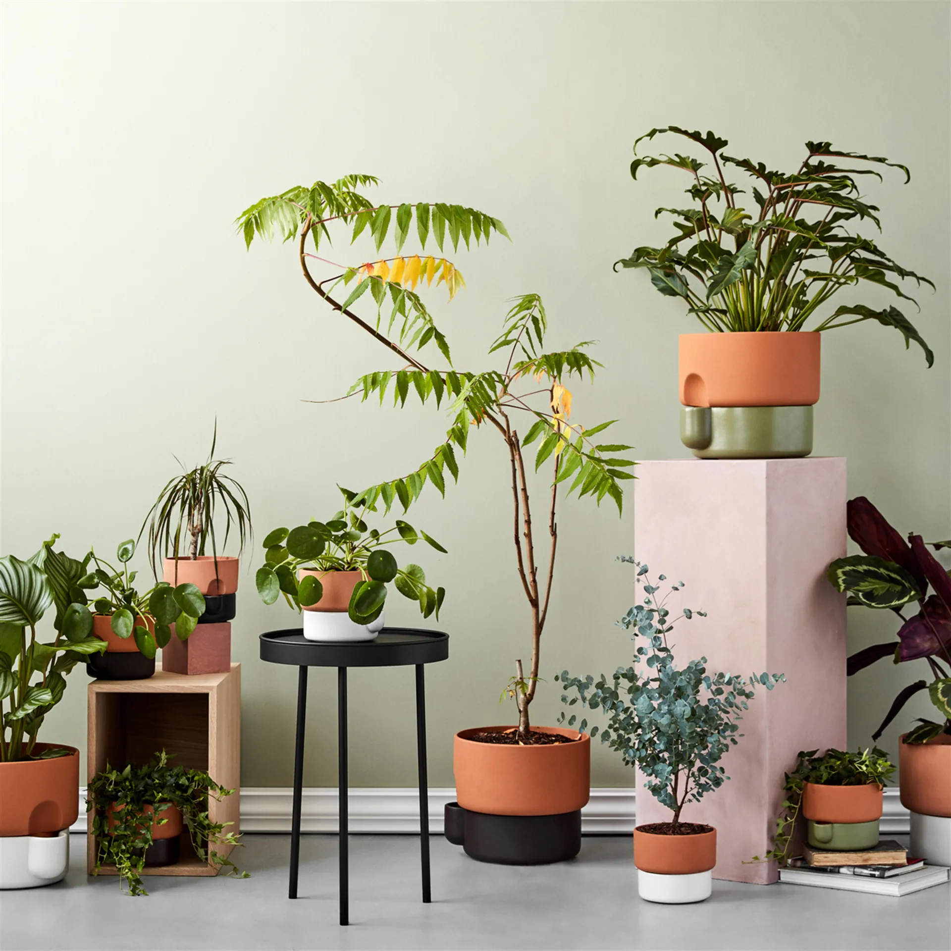 Oasis self-watering 植木鉢 スモール, green Northern | ノーザン