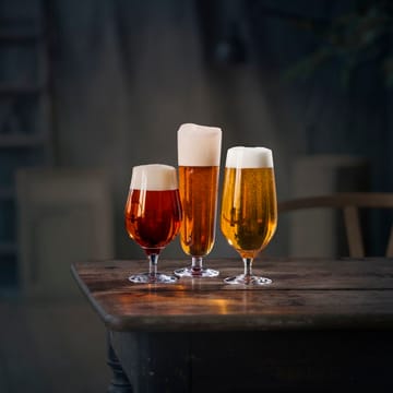 Beer taster ビアグラス 4パック - 4-pack - Orrefors | オレフォス