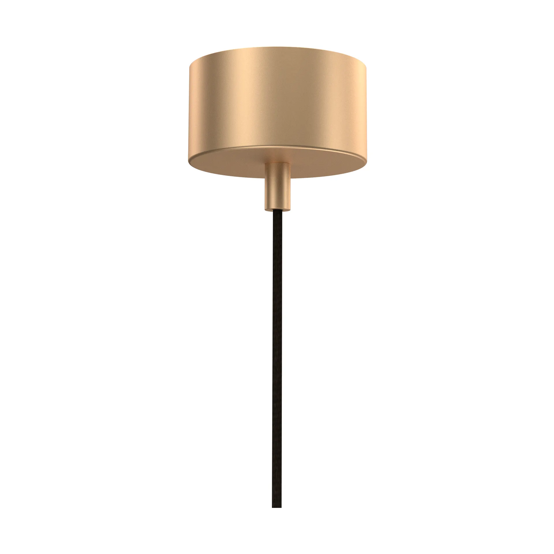 Punkt シーリングローズ, Brushed Brass Örsjö Belysning | オルショ べリスニング