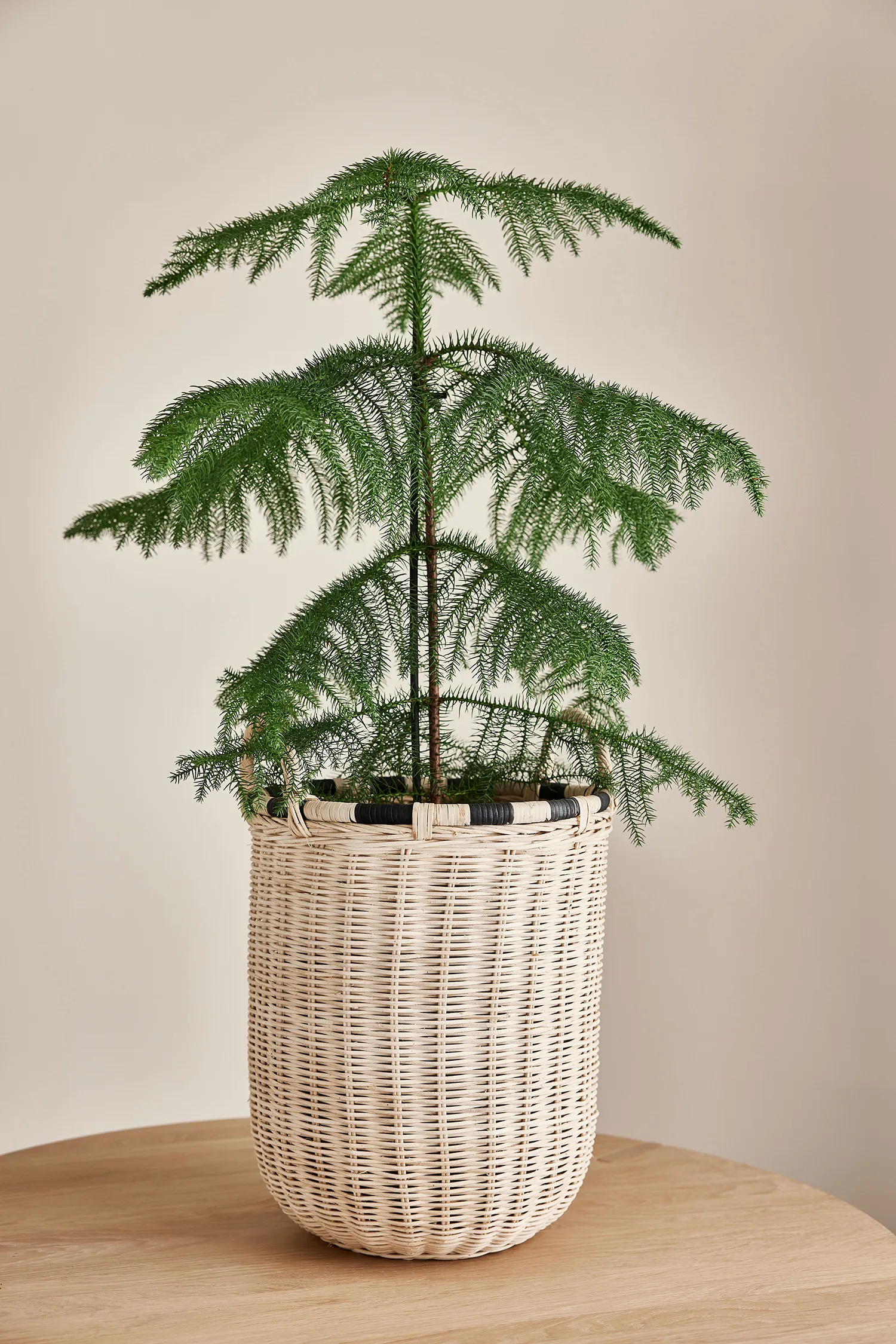 Boo 収納ボックス, small 46 cm OYOY | オイオイ