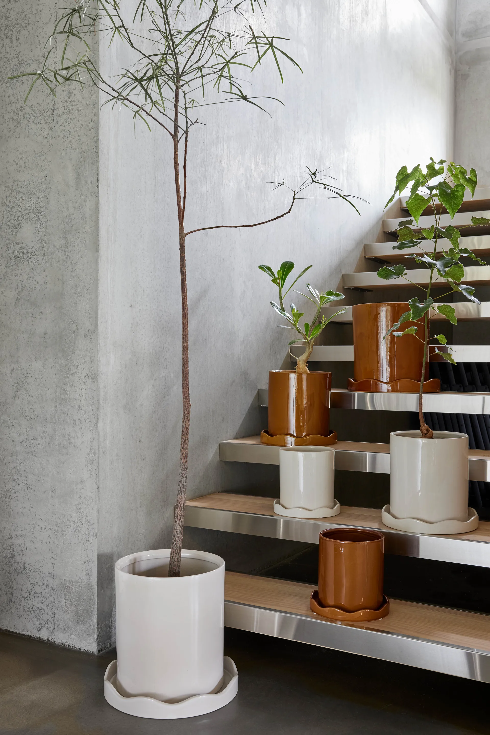 Nami 受け皿付き 鉢 Ø21.5 cm medium, White OYOY | オイオイ