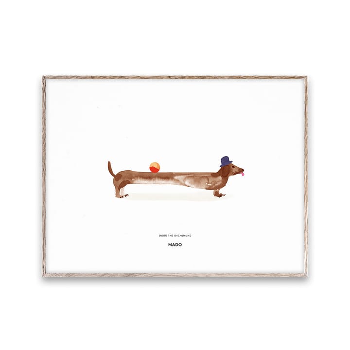 Doug the Dachshund ポスター, 30x40 cm Paper Collective | ペーパーコレクティブ