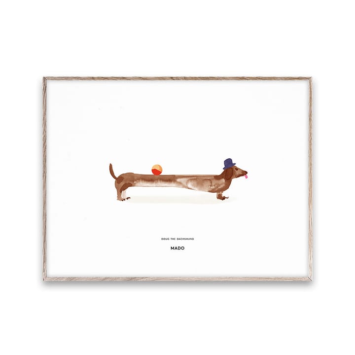 Doug the Dachshund ポスター - 30x40 cm - Paper Collective | ペーパーコレクティブ