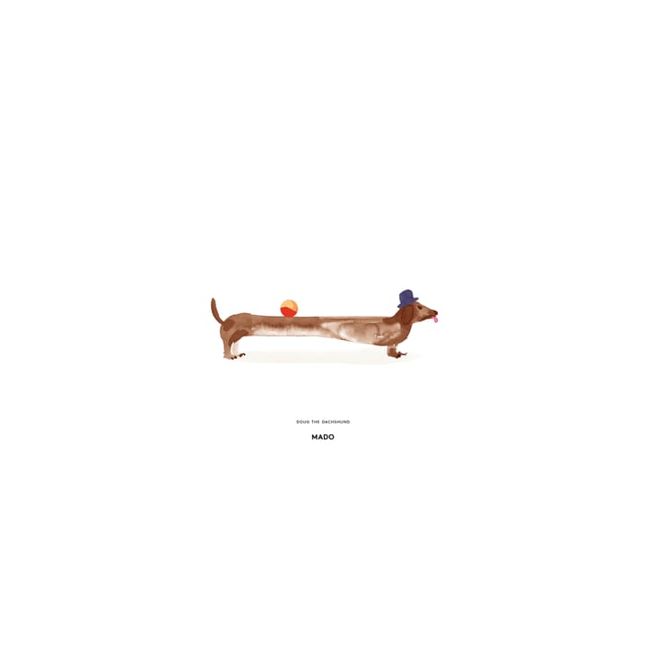 Doug the Dachshund ポスター - 30x40 cm - Paper Collective | ペーパーコレクティブ