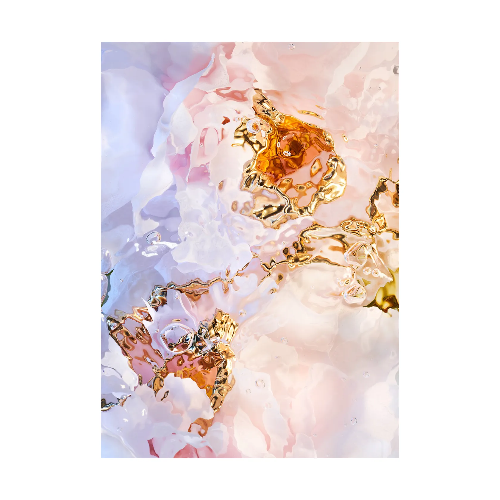 Flora Aquatica 03 ポスター, 30x40 cm Paper Collective | ペーパーコレクティブ