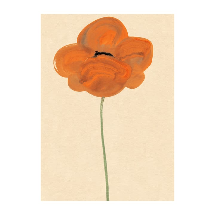 Orange Vallmo ポスター - 50x70 cm - Paper Collective | ペーパーコレクティブ