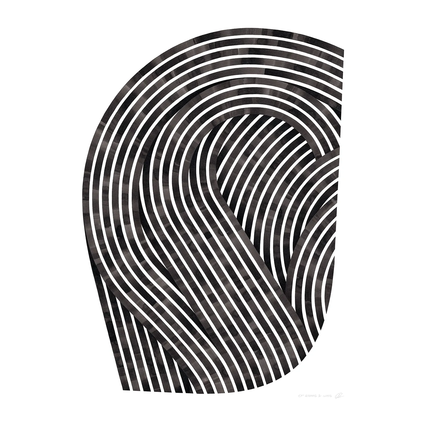 Paper Collective | ペーパーコレクティブ からのQuantum Fields 01