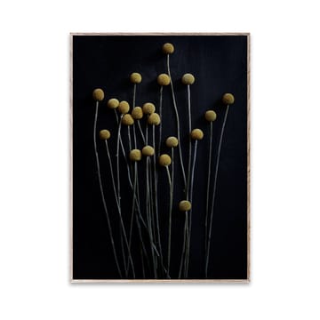 Sto Life 01 イエロー Drumスティック ポスター - 30x40 cm - Paper Collective | ペーパーコレクティブ