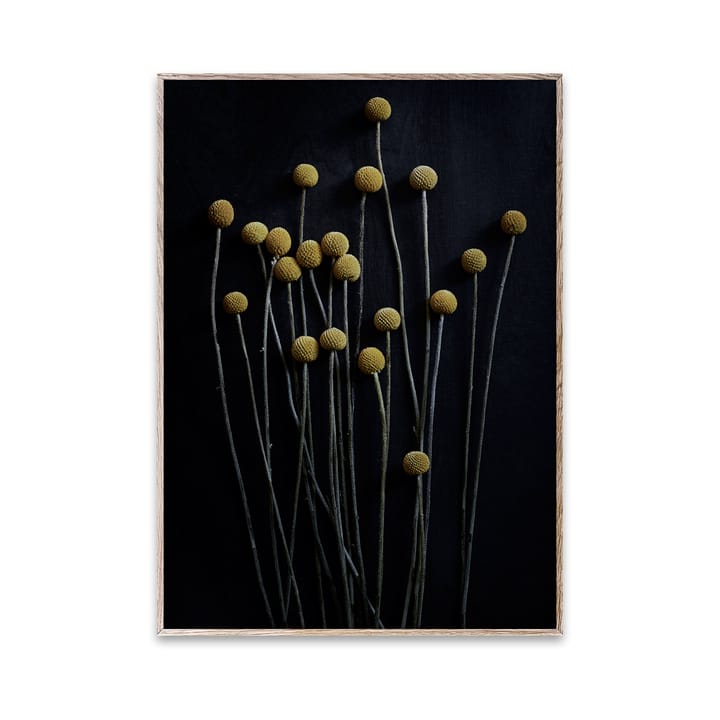 Sto Life 01 イエロー Drumスティック ポスター - 30x40 cm - Paper Collective | ペーパーコレクティブ