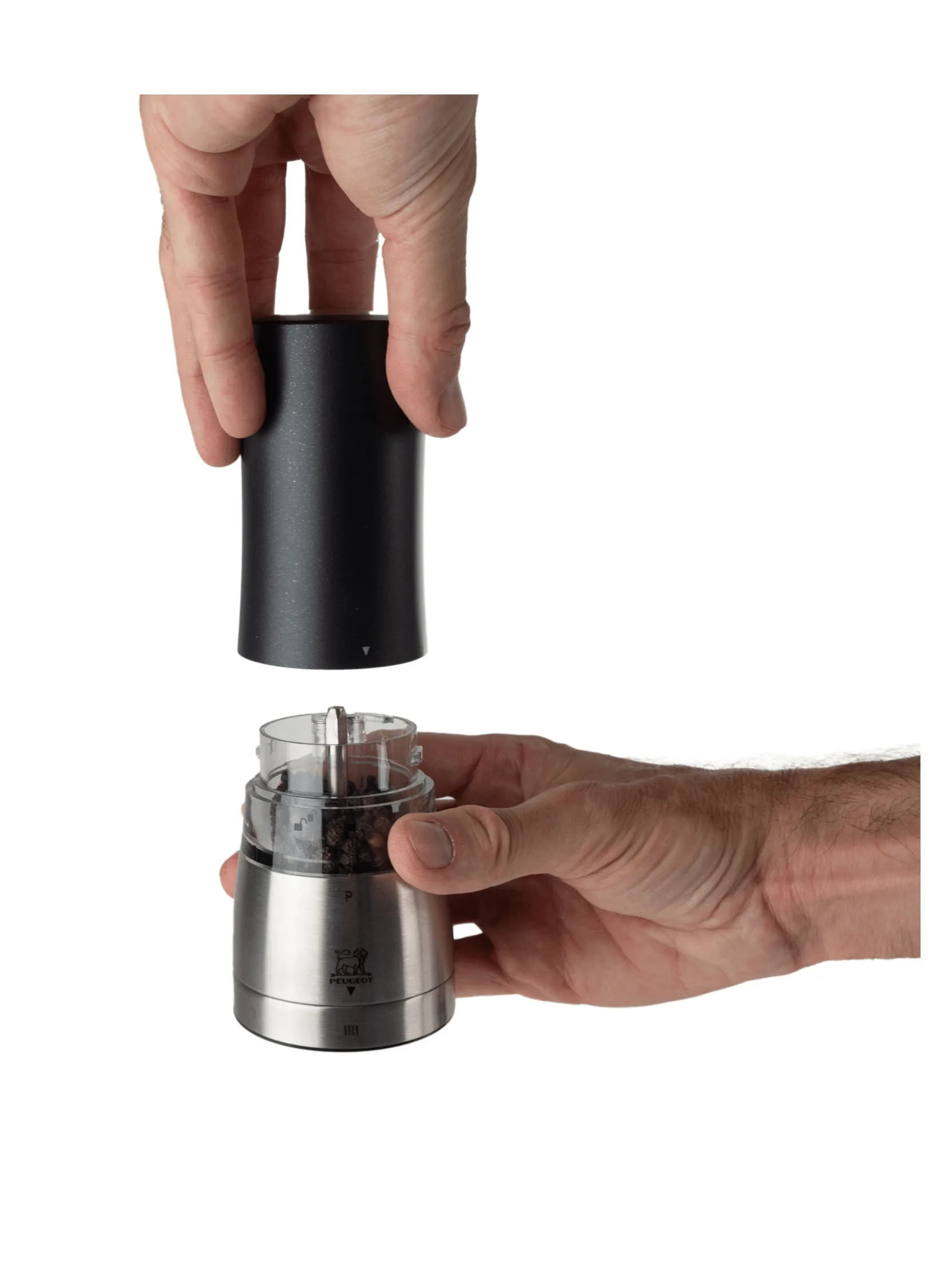 Daman 電動ペッパーミル 16 cm, Black Peugeot | プジョー