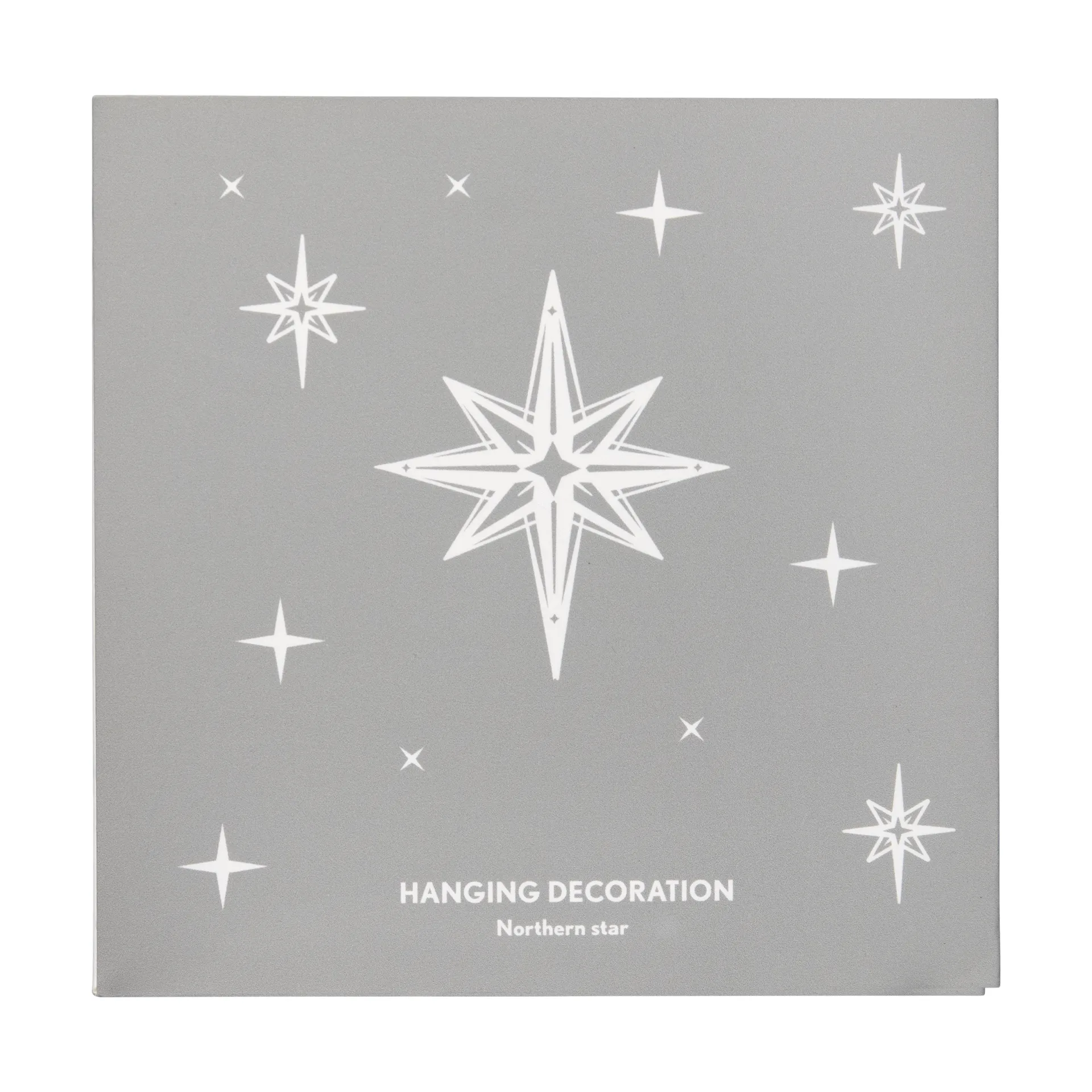 Northern Star L クリスマスオーナメント, Silver Pluto Design