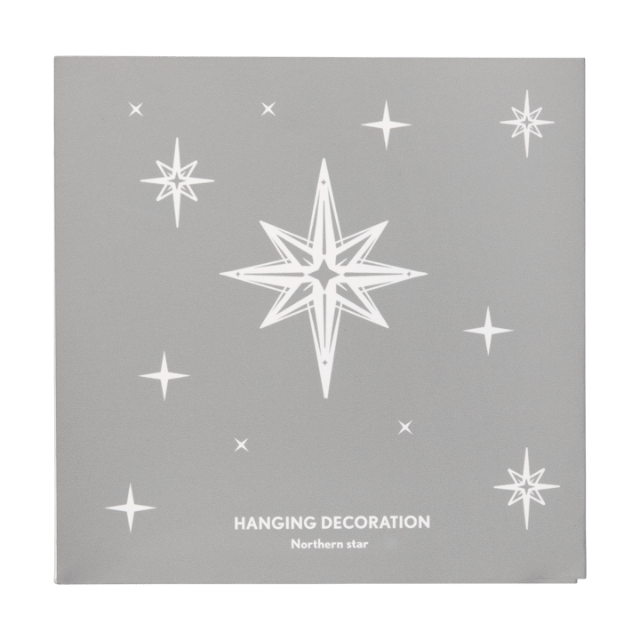 Northern Star L クリスマスオーナメント, Silver Pluto Design
