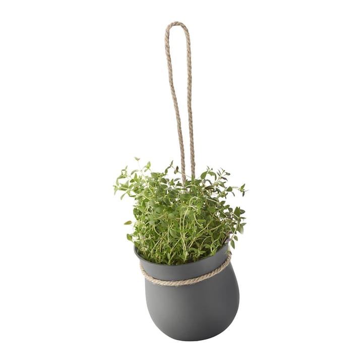 Grow-It herb ポット - grey - RIG-TIG | リグティグ