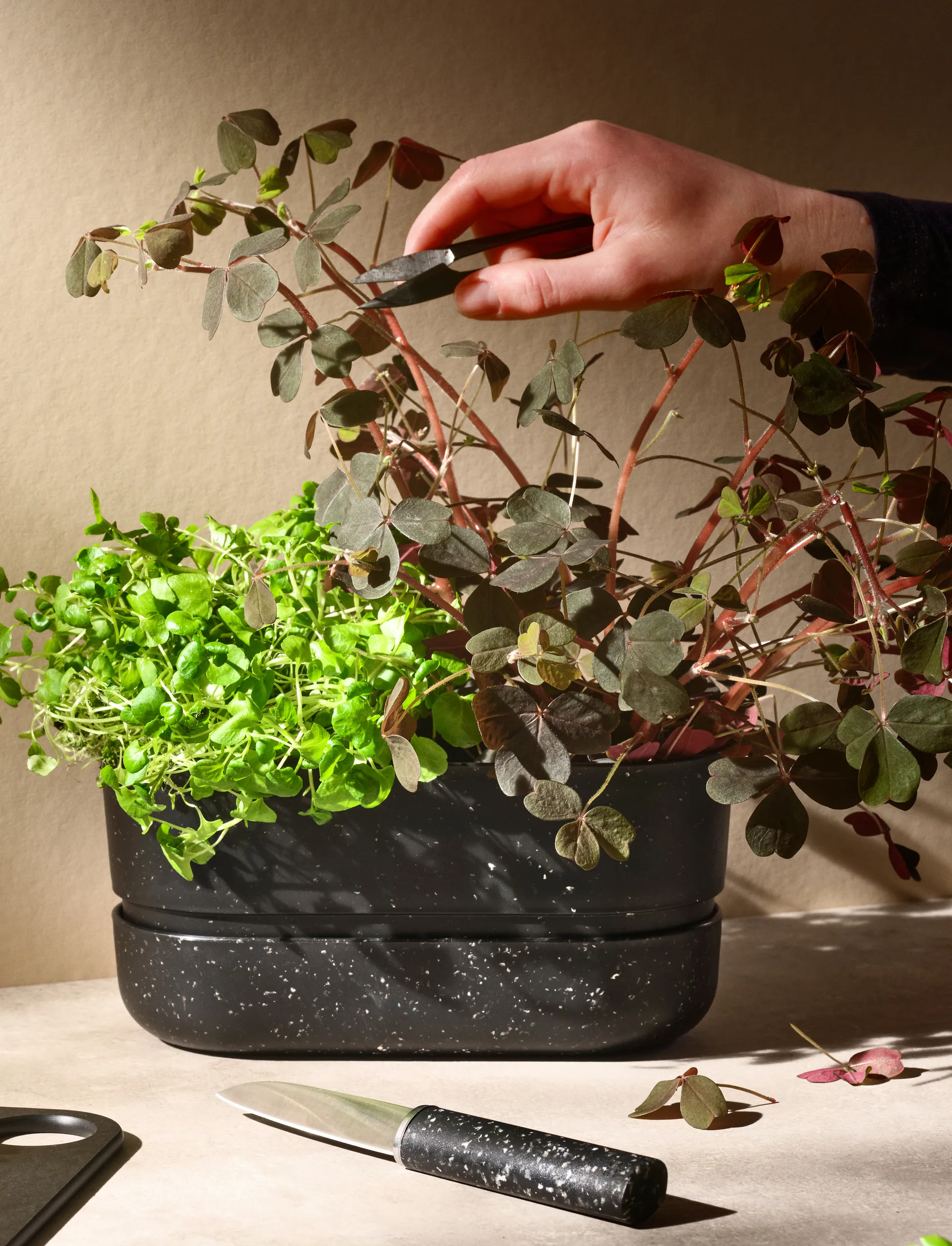 REDO ピールナイフ 18,8 cm, Black RIG-TIG | リグティグ