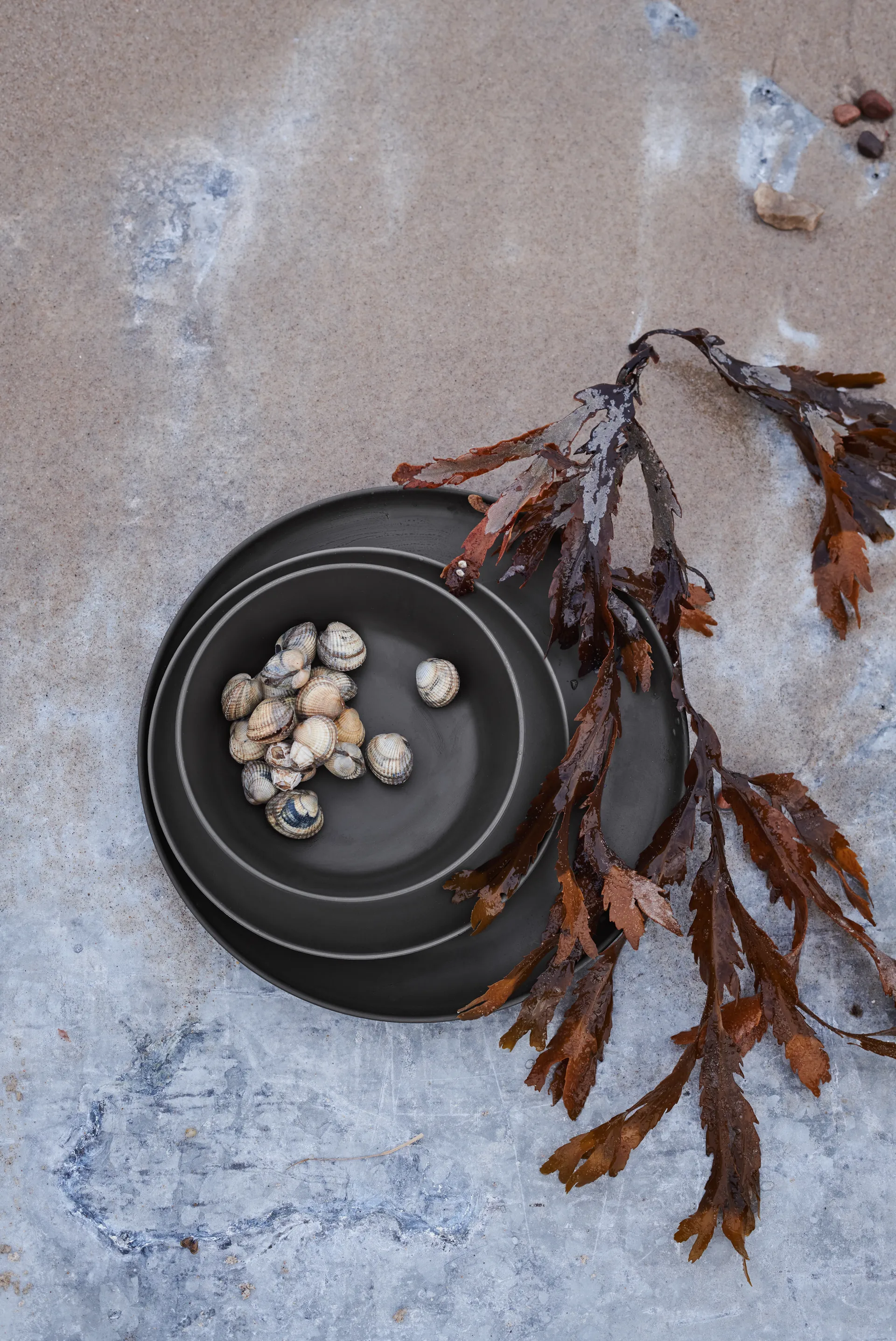 Grand Cru Take メラミンプレート Ø26 cm 2枚セット, grey Rosendahl | ロゼンダール