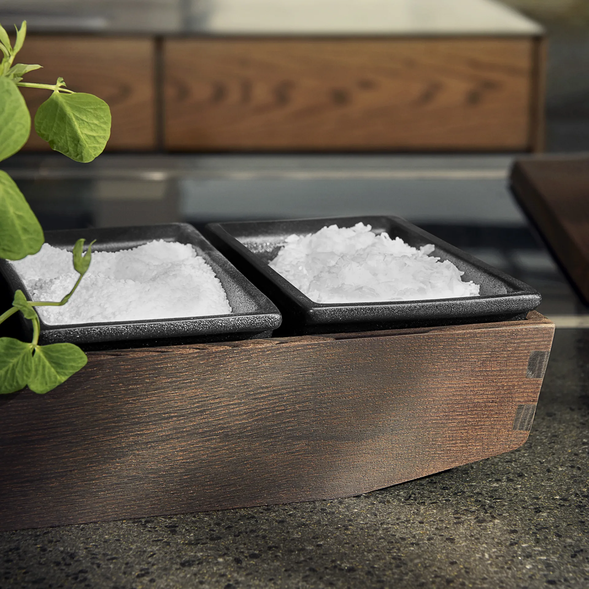 Rå salt cellar 6.5 cm, Svart Rosendahl | ロゼンダール