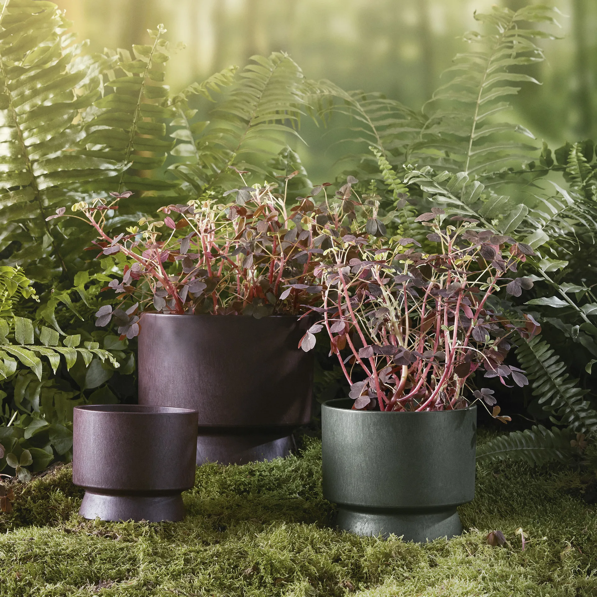 Ro 植木鉢 Ø12 cm, Bordeaux Rosendahl | ロゼンダール