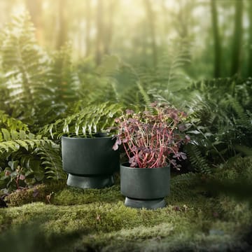 Ro 植木鉢 Ø19 cm - Dark green - Rosendahl | ロゼンダール