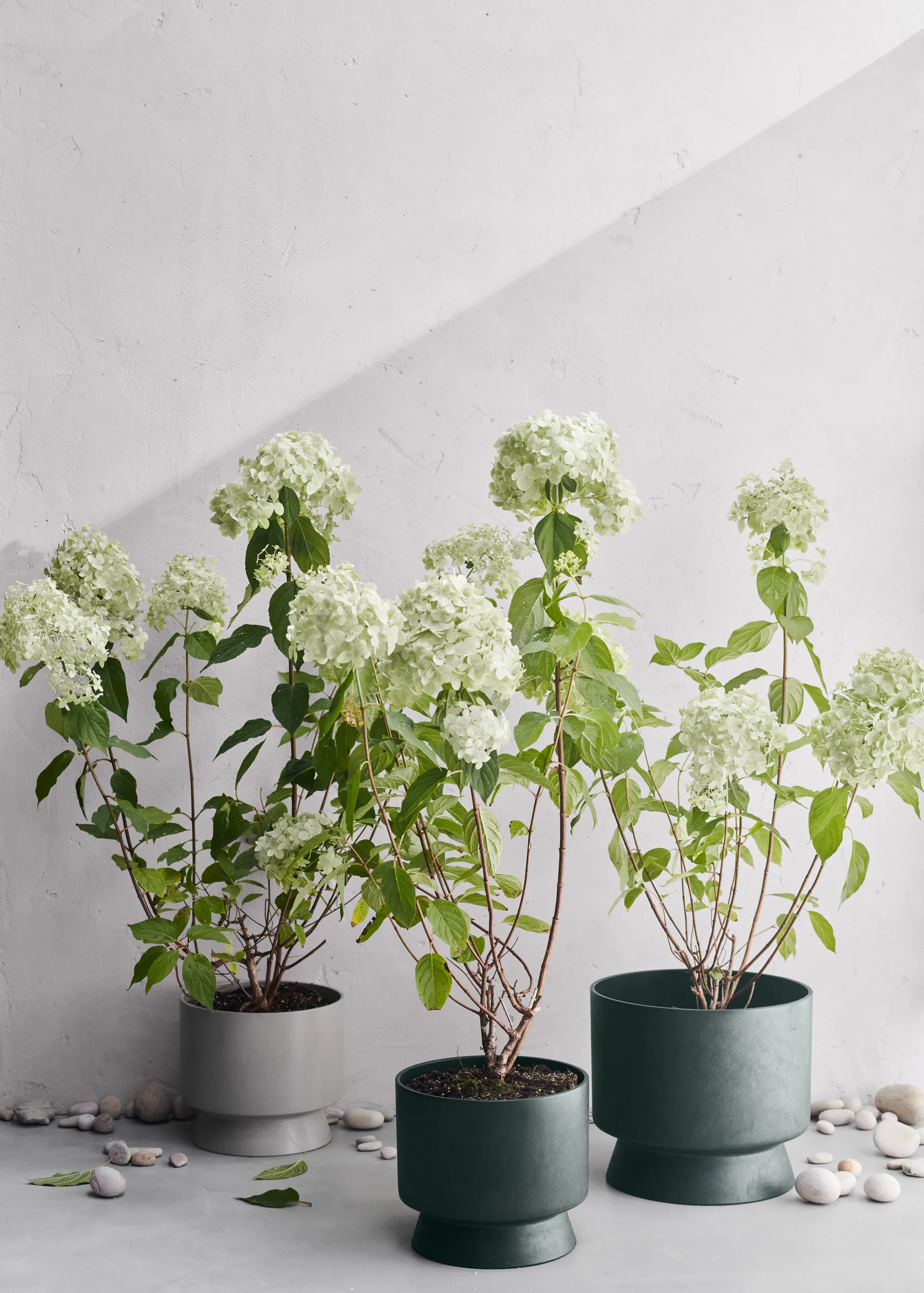 Ro 植木鉢 Ø30 cm, Dark green Rosendahl | ロゼンダール