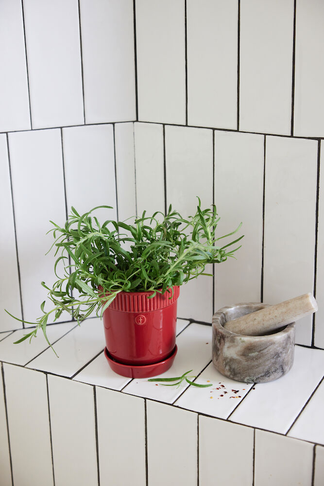 友膳 ルシエルボウルSW GF4302 園芸用品 植木鉢 フラワー