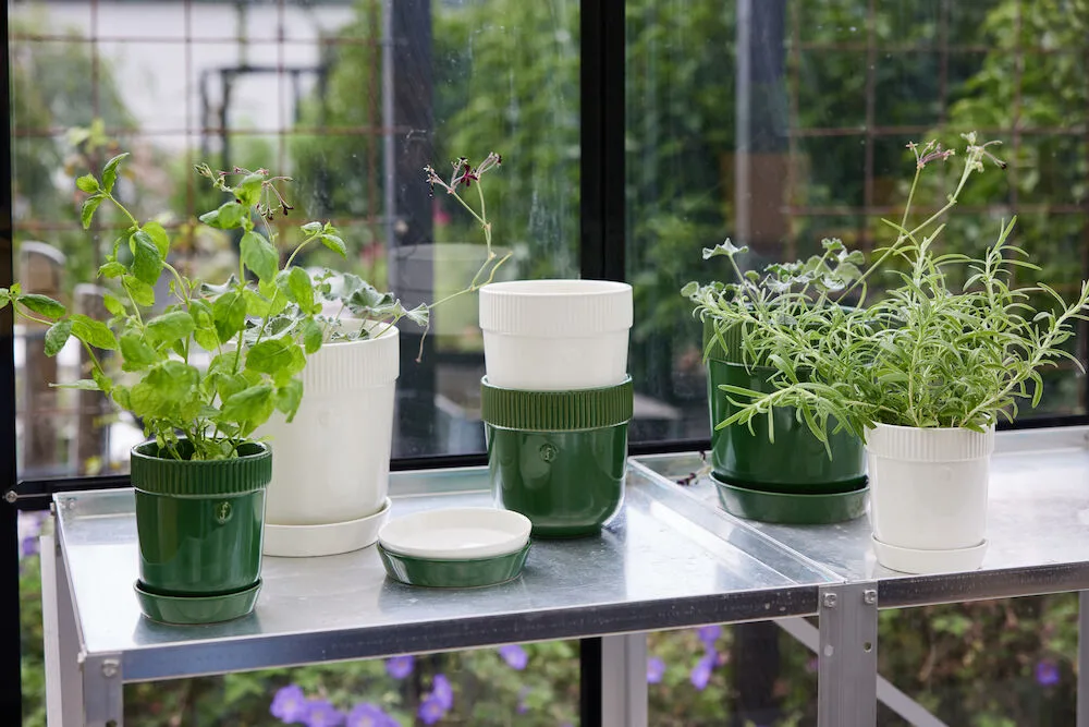 Elise ハーブポット Ø11 cm, Green Sagaform | サガフォルム