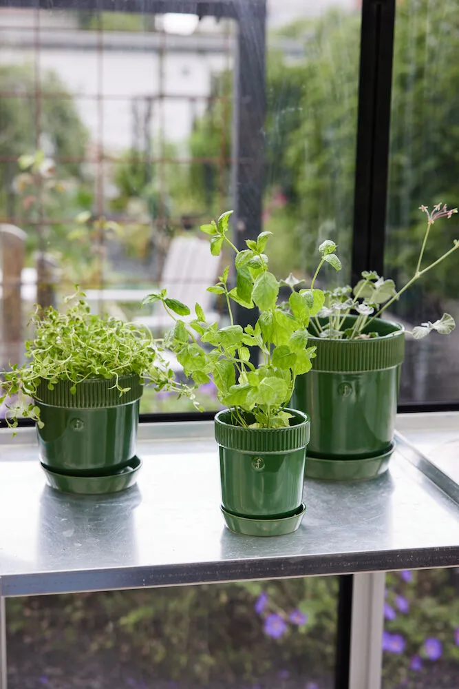 Elise ハーブポット Ø11 cm, Green Sagaform | サガフォルム