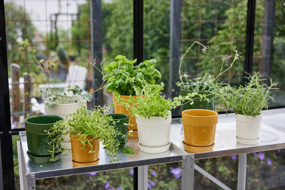 Elise ハーブポット Ø11 cm, Green Sagaform | サガフォルム