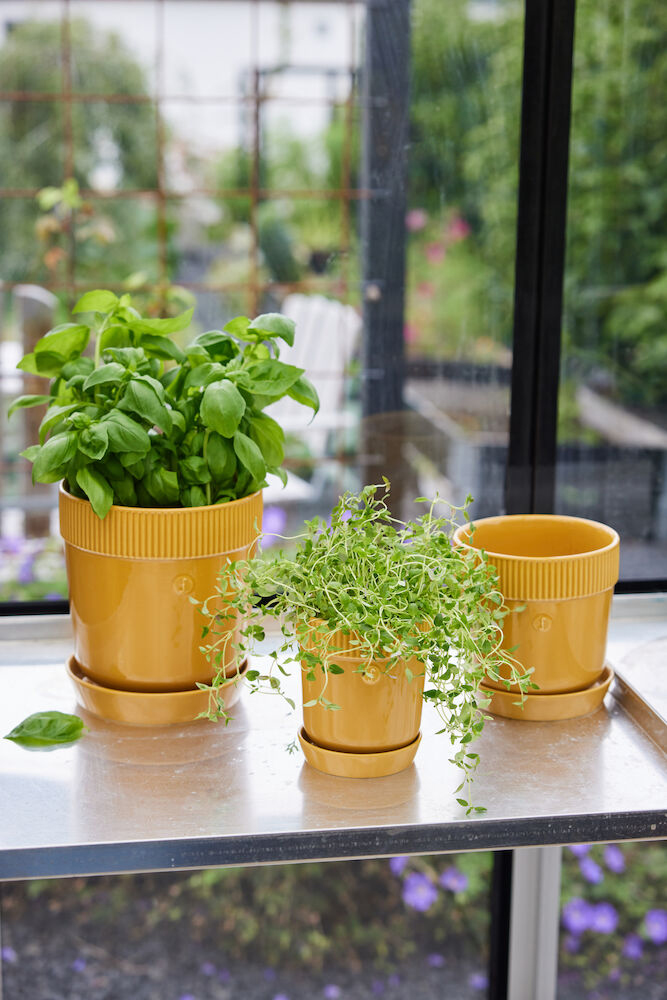 イエロー 植木鉢 - デザインをお買い物 → NordicNest.jp