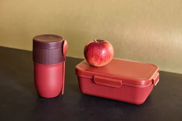 Ted フードジャー ヨーグルトマグ スプーン付き - Wine red Pantone 7624C, 32 cl - Sagaform | サガフォルム
