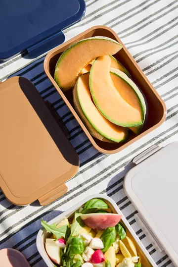 Tina ランチボックス 1.1 L - Fudge - Sagaform | サガフォルム