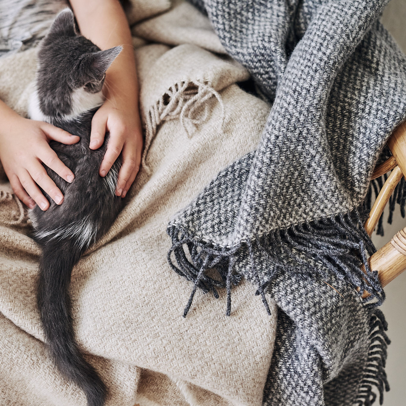 楽天市場】SALE30%OFF // SOIL ソイル WOOL LINEN PLAIN WITH